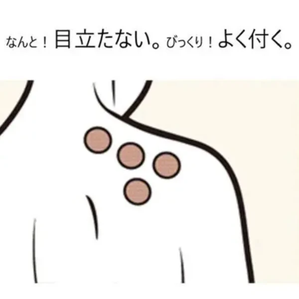 Nichiban ROIHI老爺爺穴位膏貼 78枚 大判
