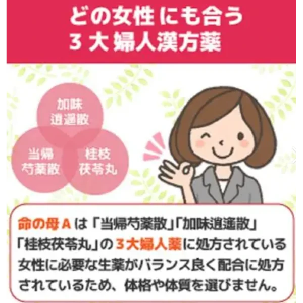 小林 更年期調理保健命之母A 840錠