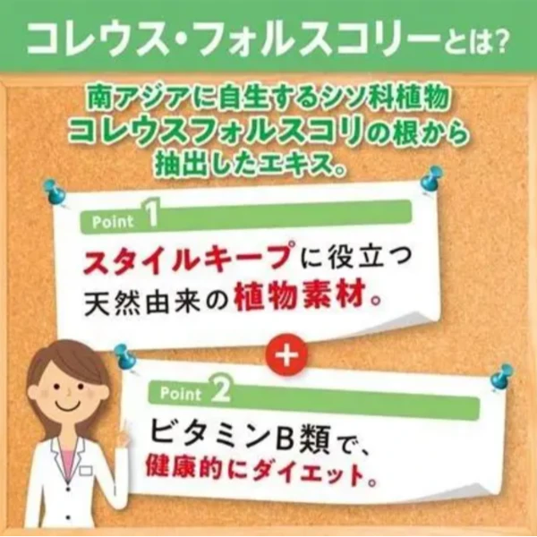 🌿 DHC 修身素 FORSCOLIN 藤黃草精華 80粒 20日～40日份 🇯🇵✨