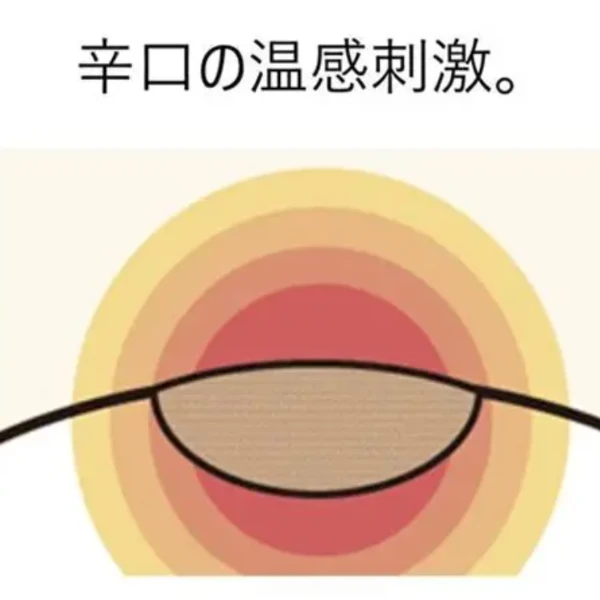 Nichiban ROIHI老爺爺穴位膏貼 78枚 大判