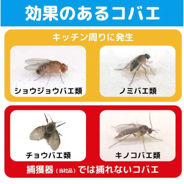 【KINCHO 金鳥／金雞 果蠅驅蟲噴霧 無味型 20ml（約80回使用）】