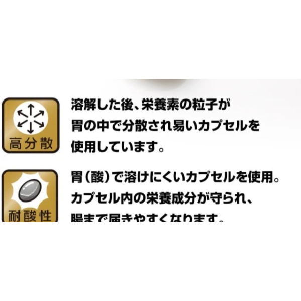 野口醫學研究所 納豆激酶 HQ 4000FU 120粒