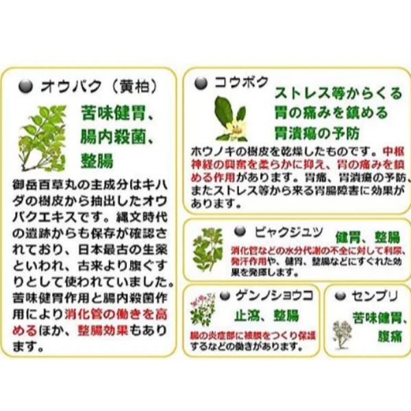 長野縣製藥 御岳百草丸 500粒