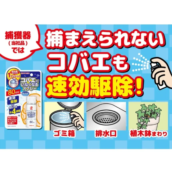 【KINCHO 金鳥／金雞 果蠅驅蟲噴霧 無味型 20ml（約80回使用）】