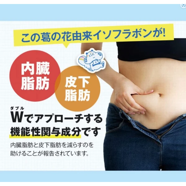 PILLBOX ONAKA 瘦肚子燃脂丸 14日分60粒