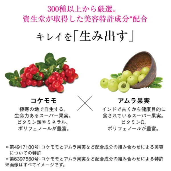 資生堂 The Collagan 膠原蛋白粉 126g
