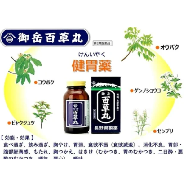 長野縣製藥 御岳百草丸 500粒