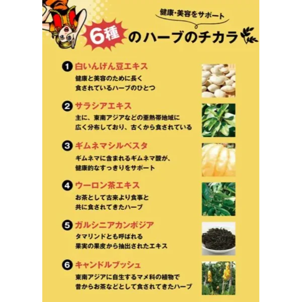 絲蓓緹SVELTY 3倍功效 滿腹 醣質分解酵母100粒